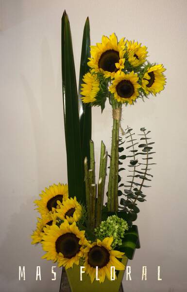 Girasoles para tu cumple